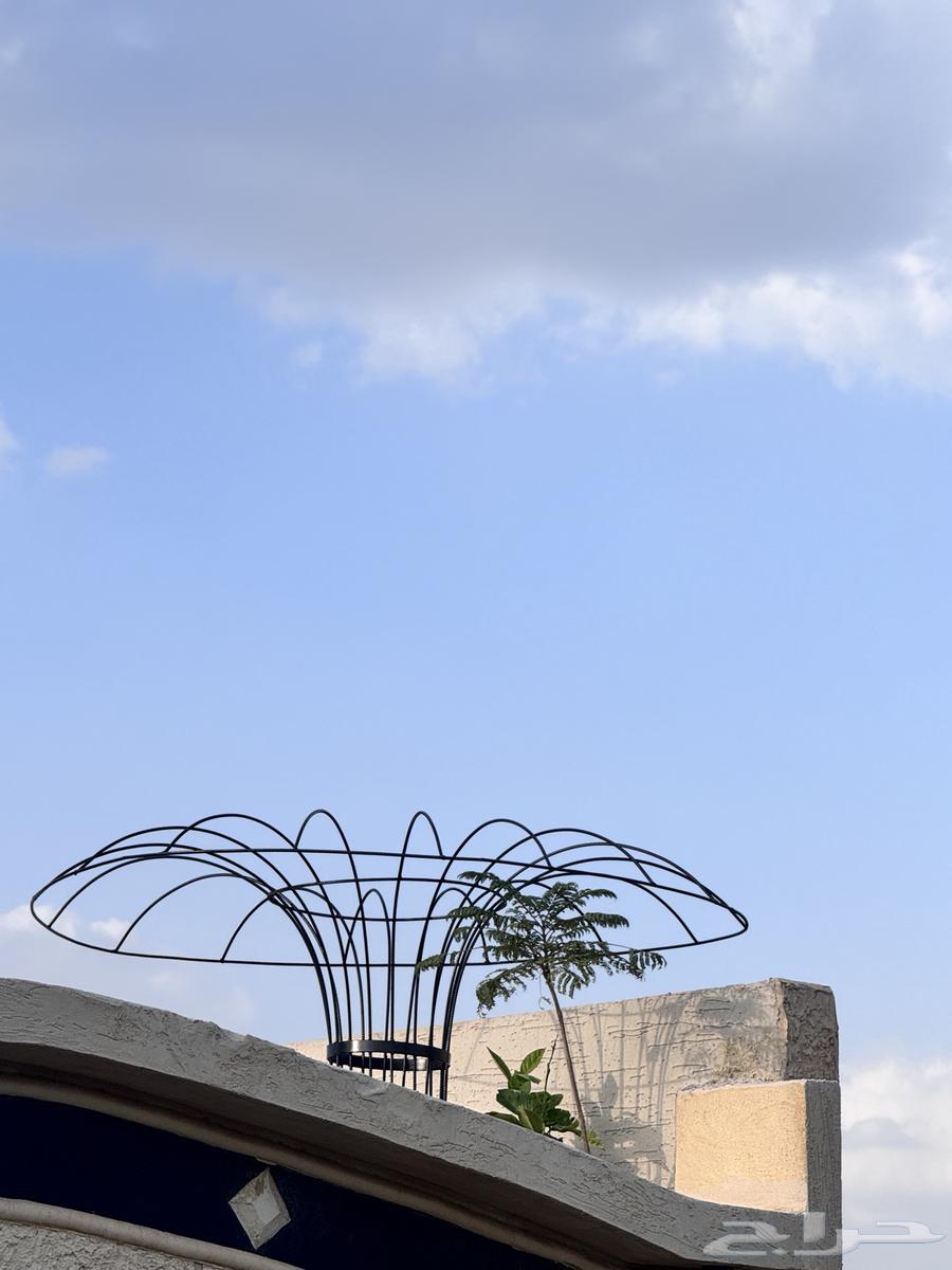 استاند اشجار جهنميه وغيرها من الاشجار المستلقه64611879880194110