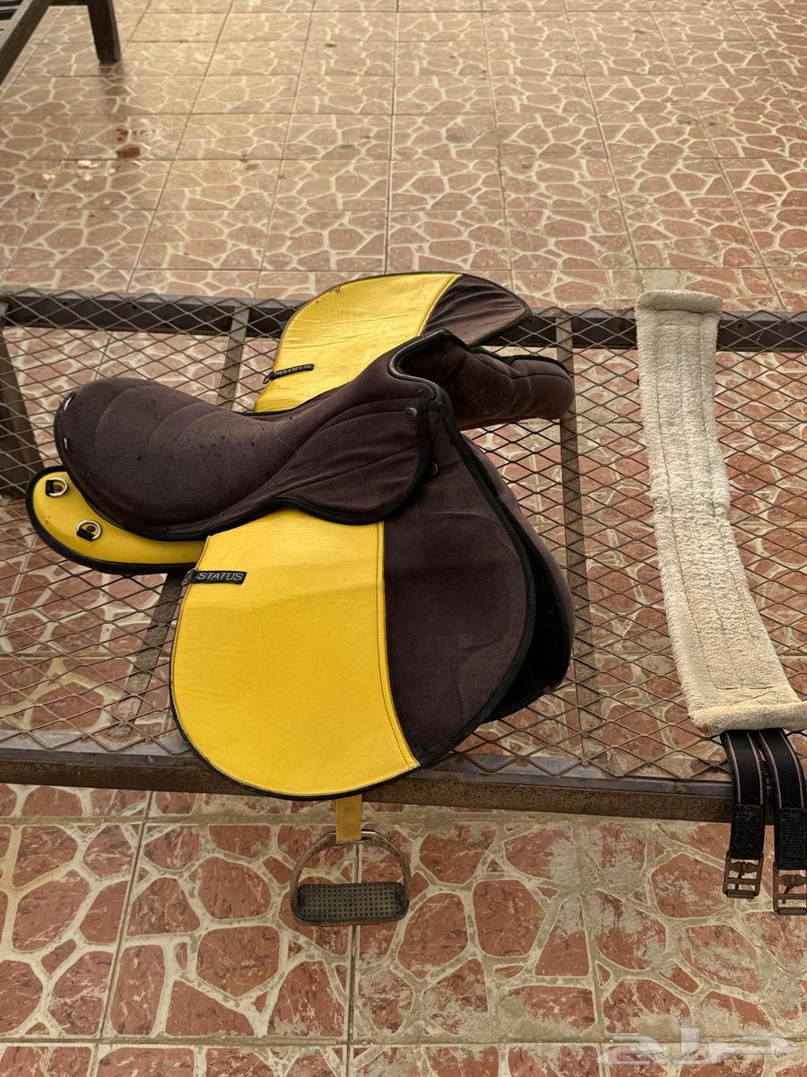 للبيع سرج استيتوس نظيف64612115124099112