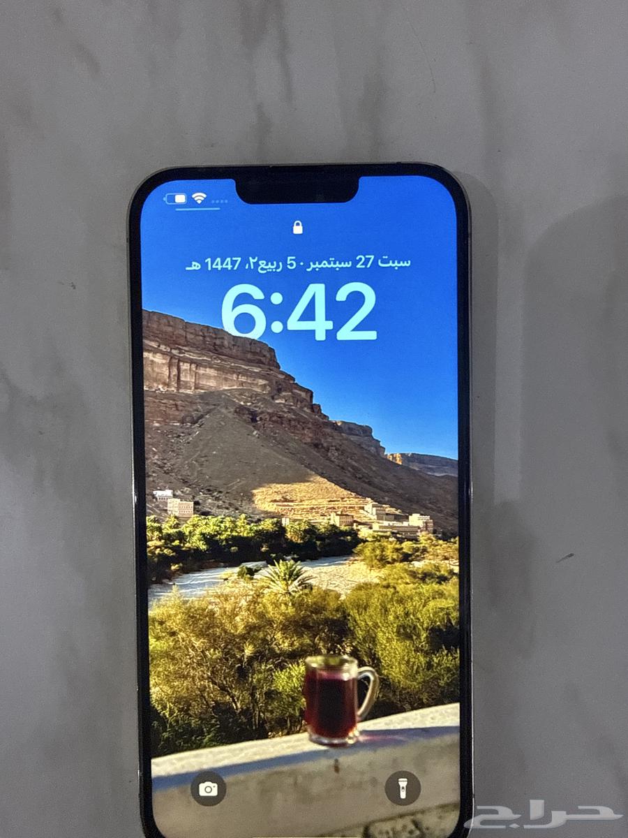 iPhone 13 Pro Max 51264612649709955111