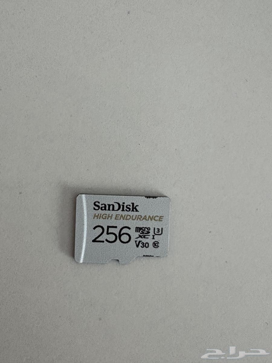 SanDisk Memory 25664610417536642110