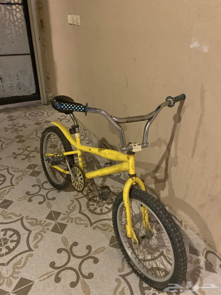 Cobra walks well, condition is almost good, limited to 5064617614405506111