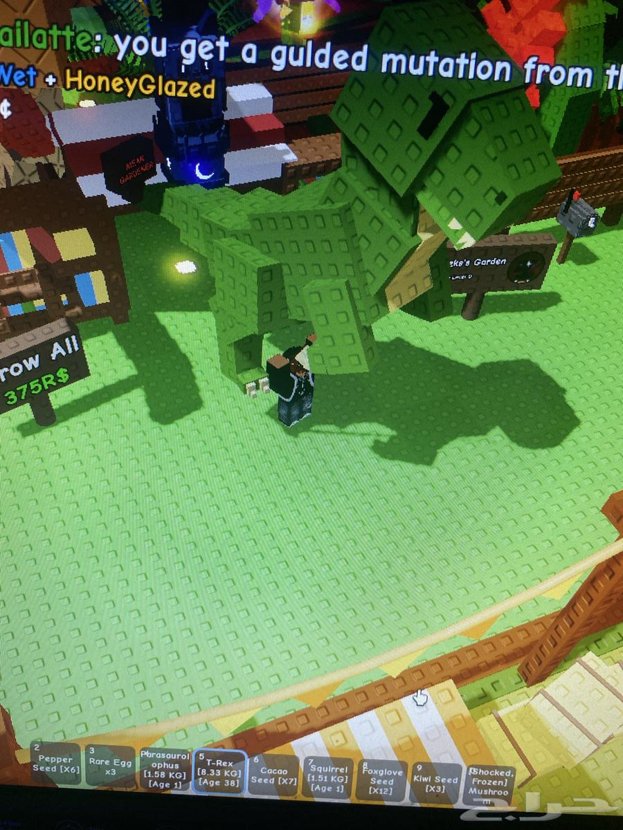 السعر 10 ريال التحويل stc bank او برق64611367937537110