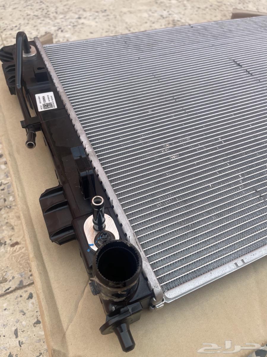 رديتر كادينزا 2011 كوري64813842859522111