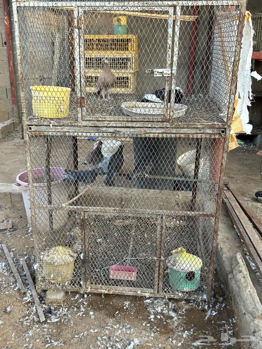 محكر حديد دورين حديد64606086162691110