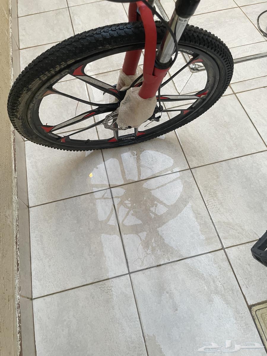 سيكل رياضي مقاس كبير نظيف للبيع64614235294210113