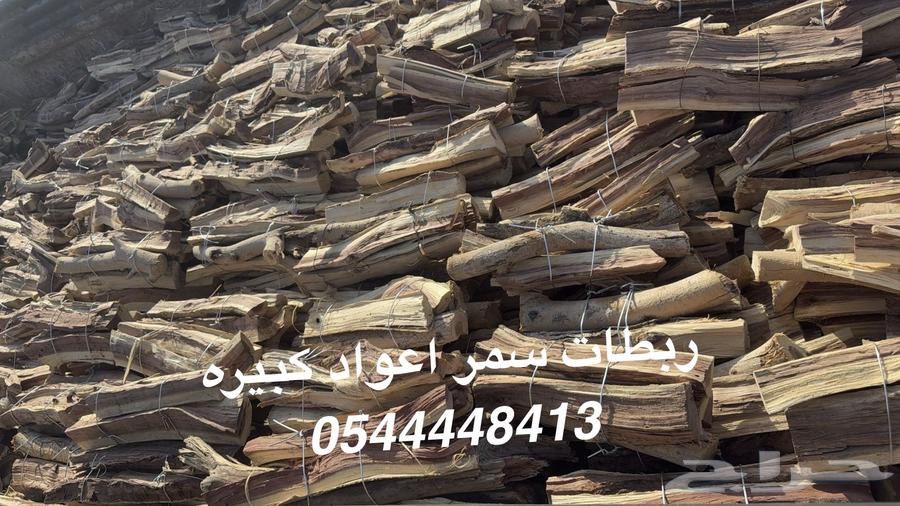 Dry and Conditioned Samr Firewood64611691661825110