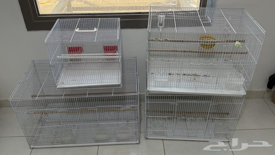 اربعة اقفاص للبيع64611654775425110