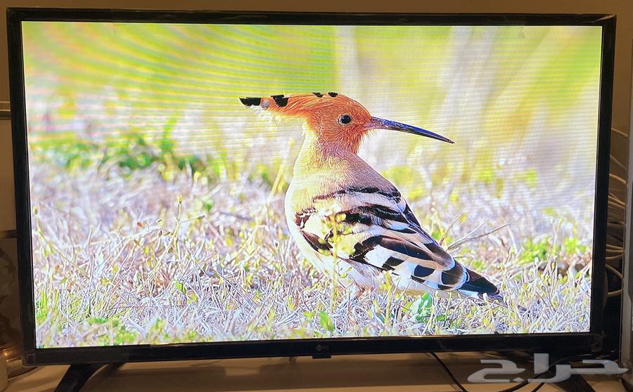 شاشة MTC 3264611704249474111