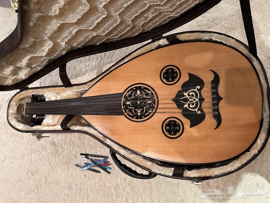 للبيع عود موريس64612425043842113