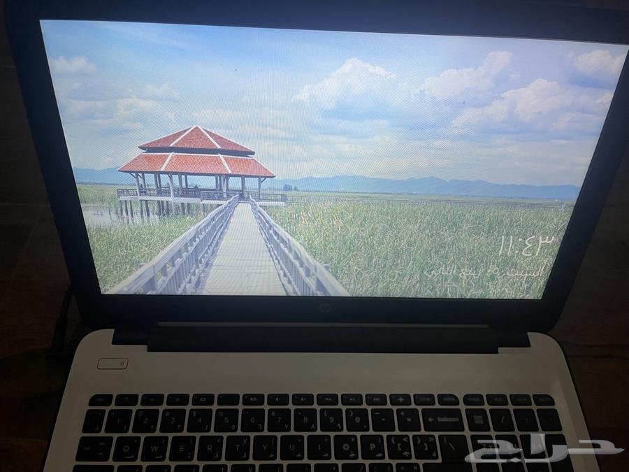 Computer and Windows 1064616249734273114