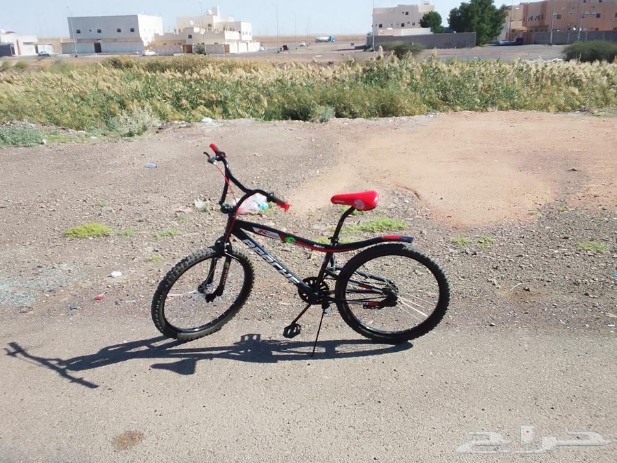 سيكل كوبرا اخو الجديد با 45064611142084354114