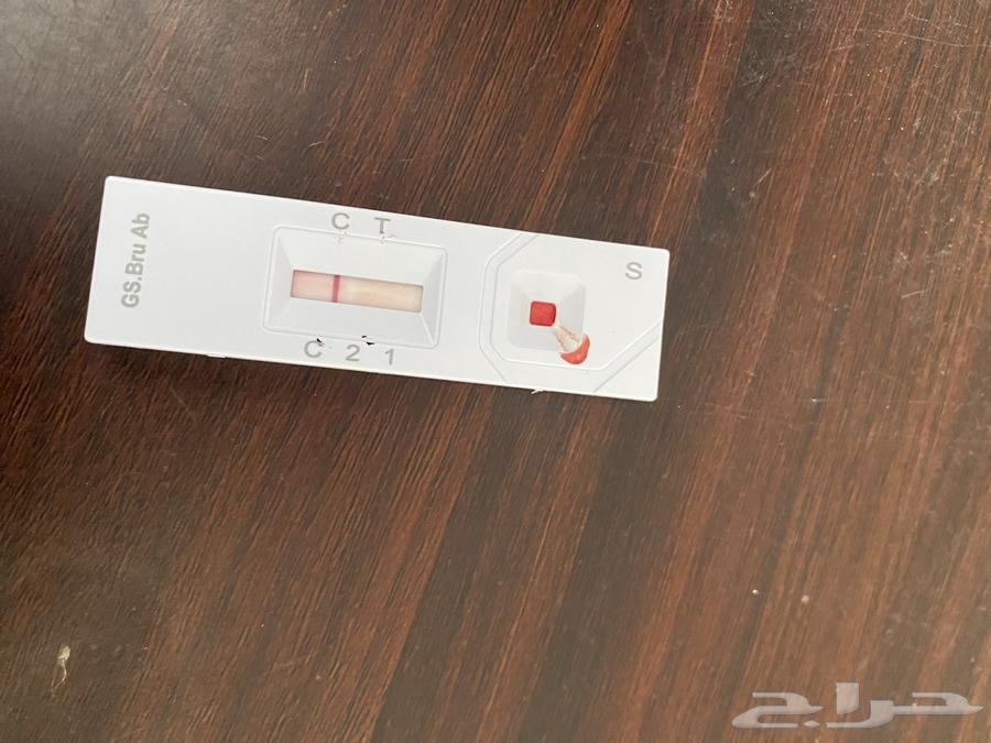 شاة للبيع سنها جامع شباب حايل64534504888193111