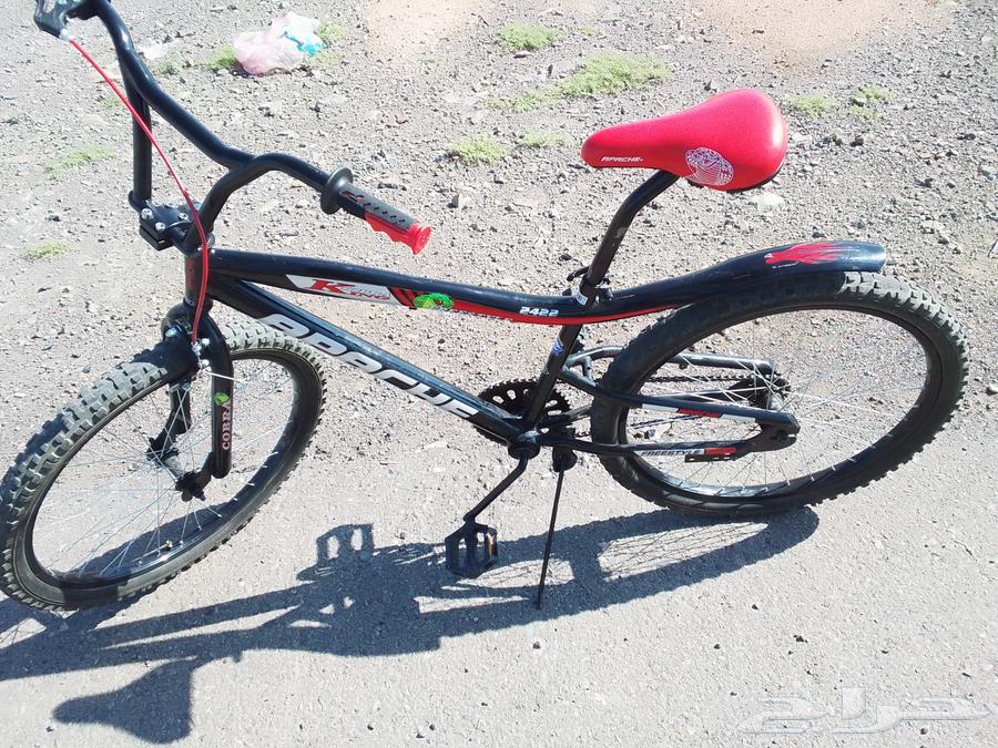 سيكل كوبرا اخو الجديد با 45064611142084354113