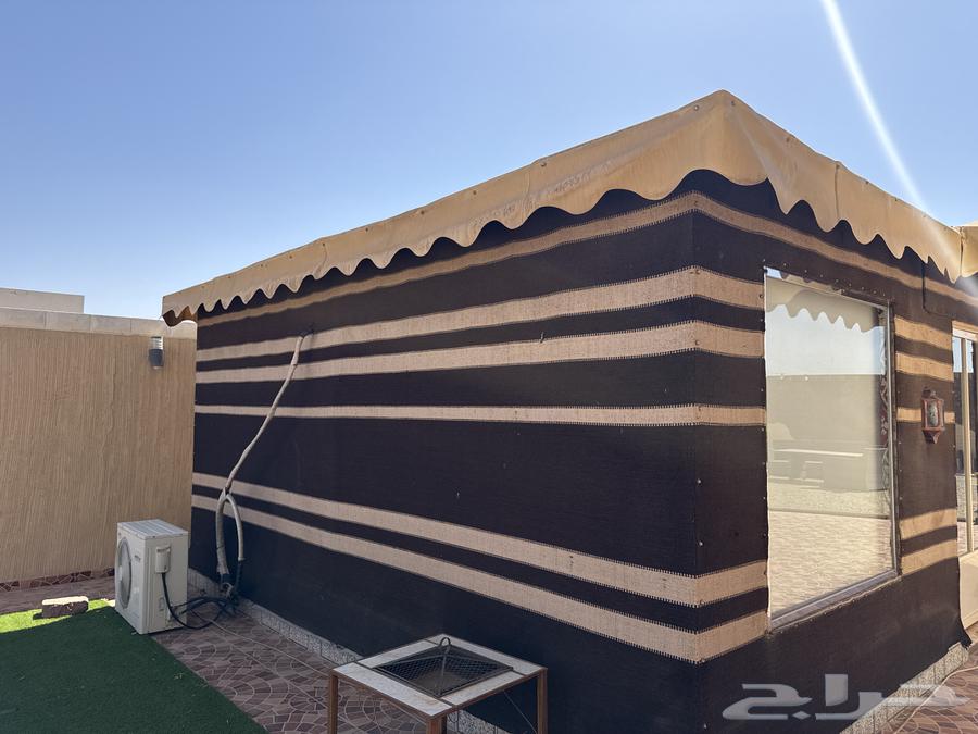 بيت شعر شبه الجديد مجلس ملكي64608153159042112