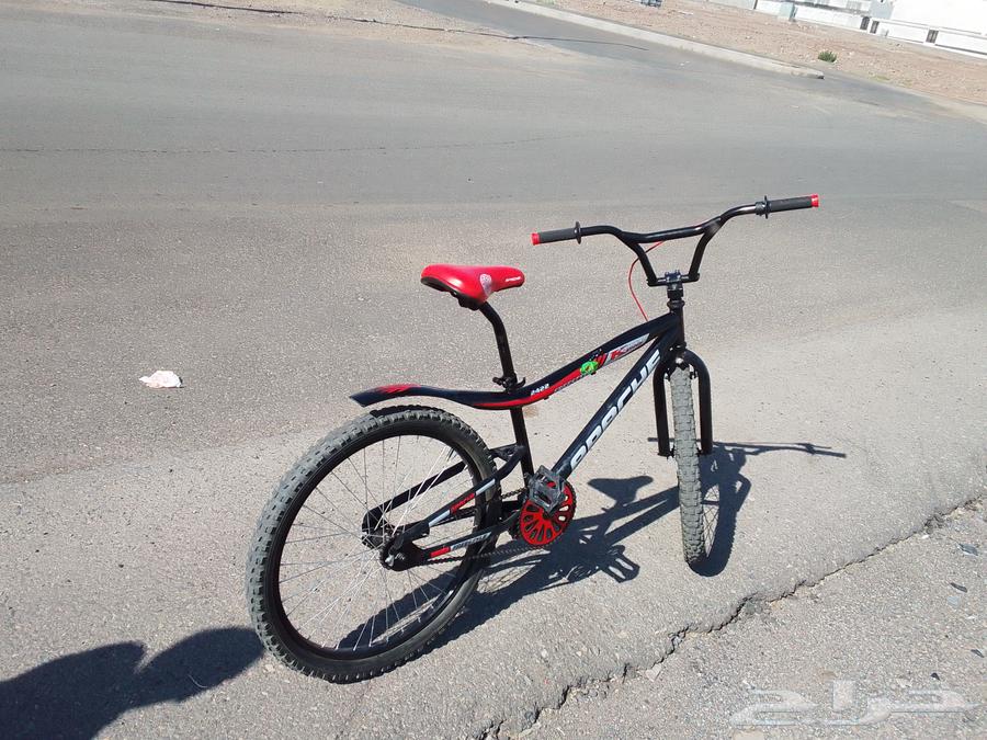 سيكل كوبرا اخو الجديد با 45064611142084354110