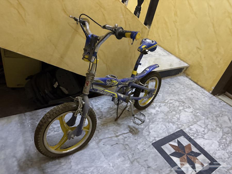 Cobra Bicycle: Brand New, Nothing Damaged64606174635906110