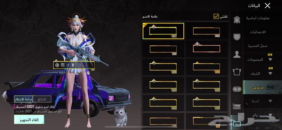 حساب ببجي للبيع64609648423170113