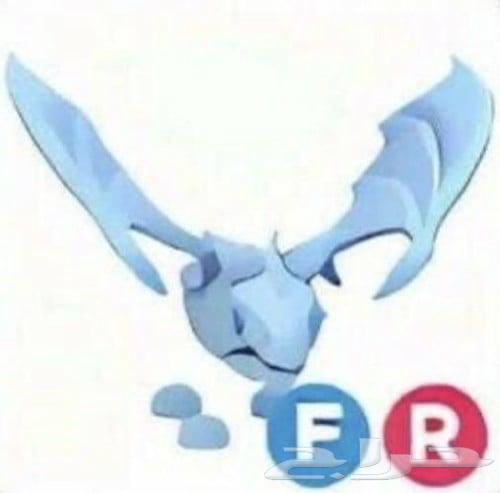 ادوبت مي فروست دراقون64606498731009110