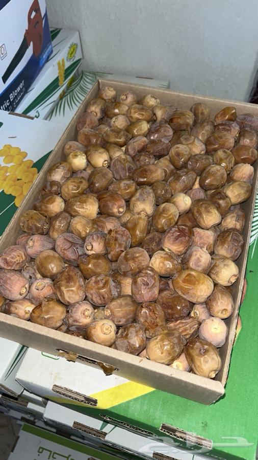 Dates64614559385091110