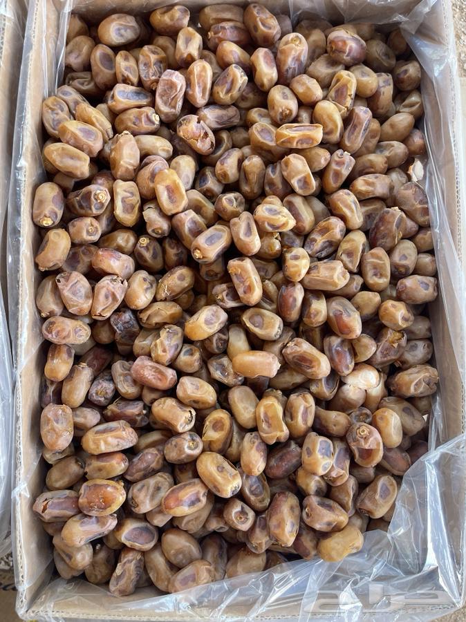 Tamr Khalas64612859296515111