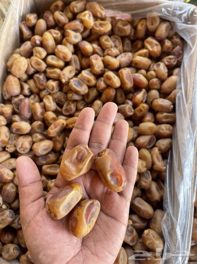 Tamr Khalas64612859296515110