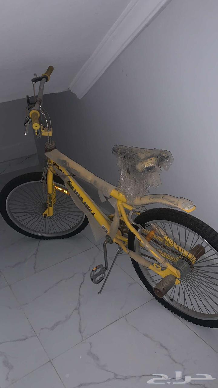 سيكل كوبرا جديد64611992410369110