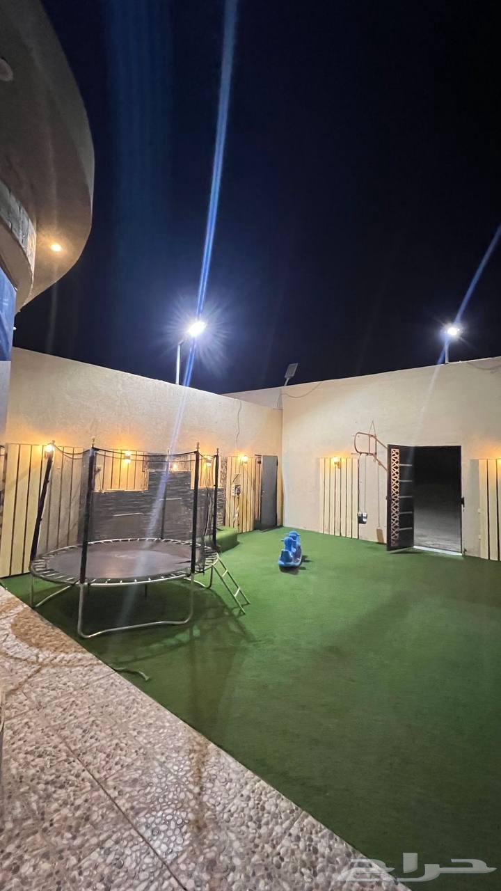 شالهي فله اليوم 250ريال لايفوتكم العرض64611279924993111