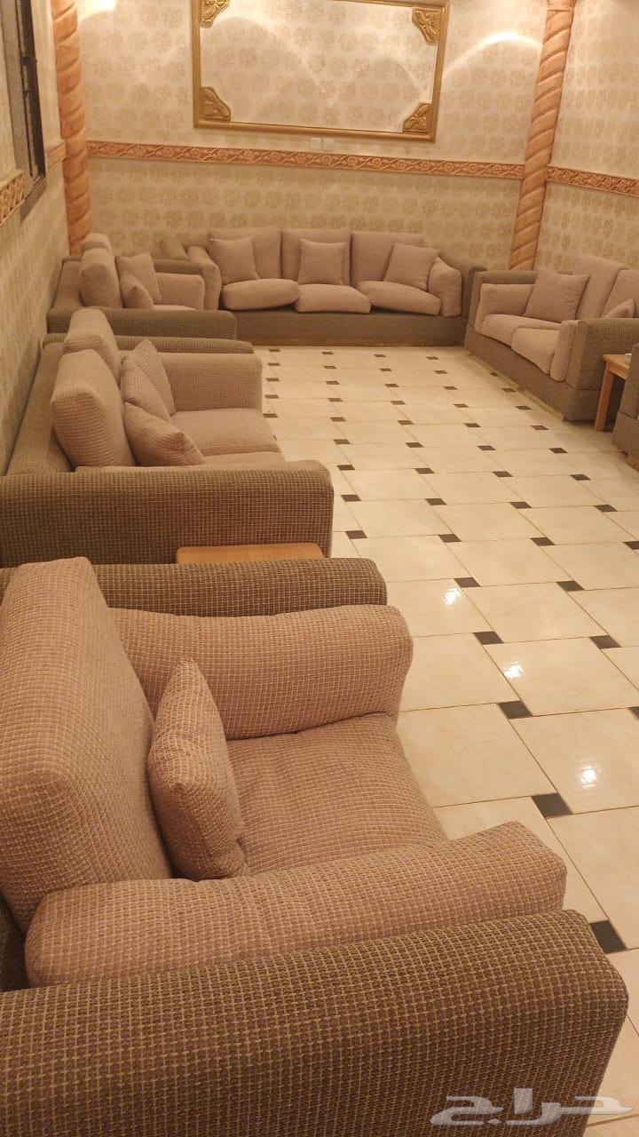 كنب جديد ونظيف ابي فيه 65064615115809155110