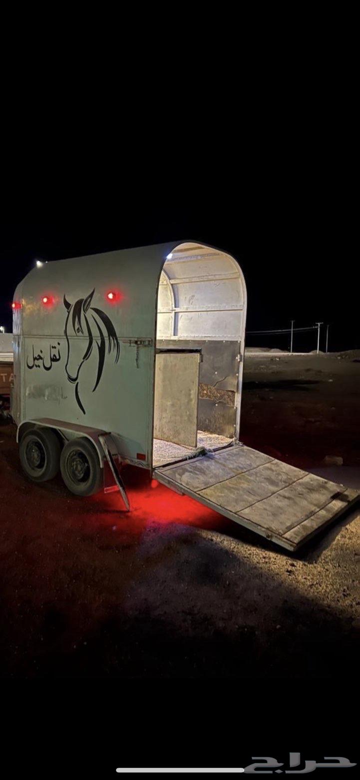 عربه نقل خيل للبيع نظيفه جدا راسين64606635802241110
