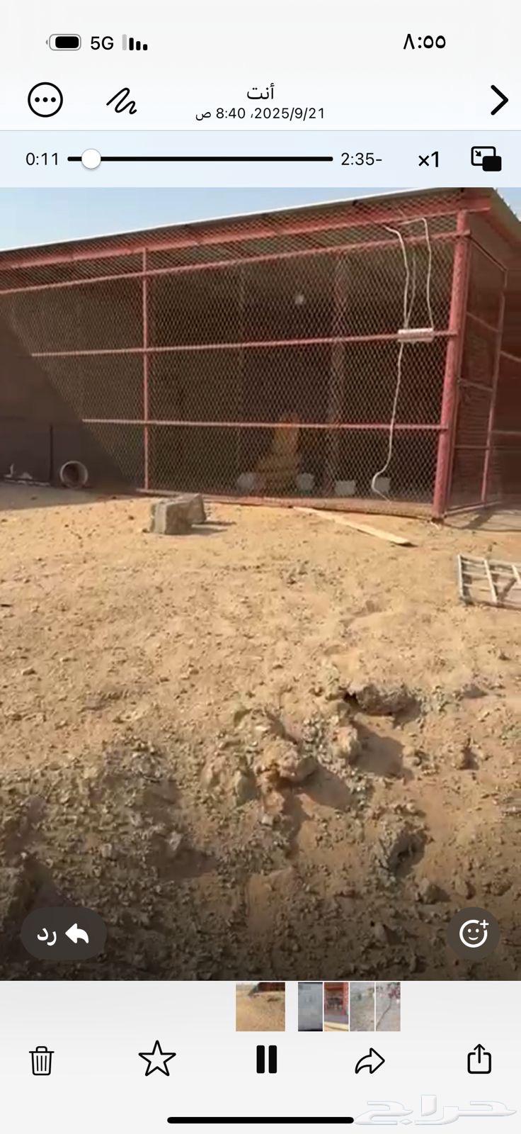 شبك جديد64614967045251113