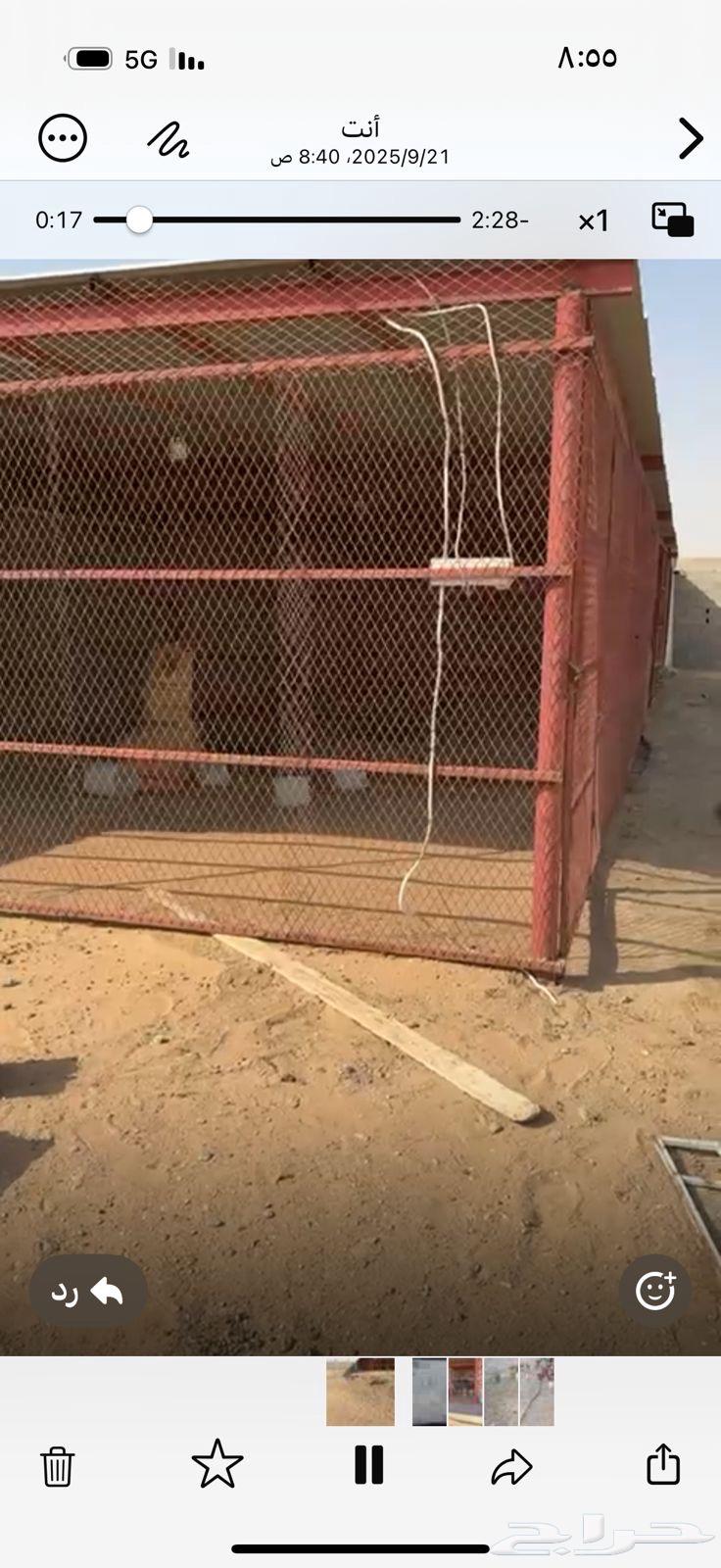 شبك جديد64614967045251114