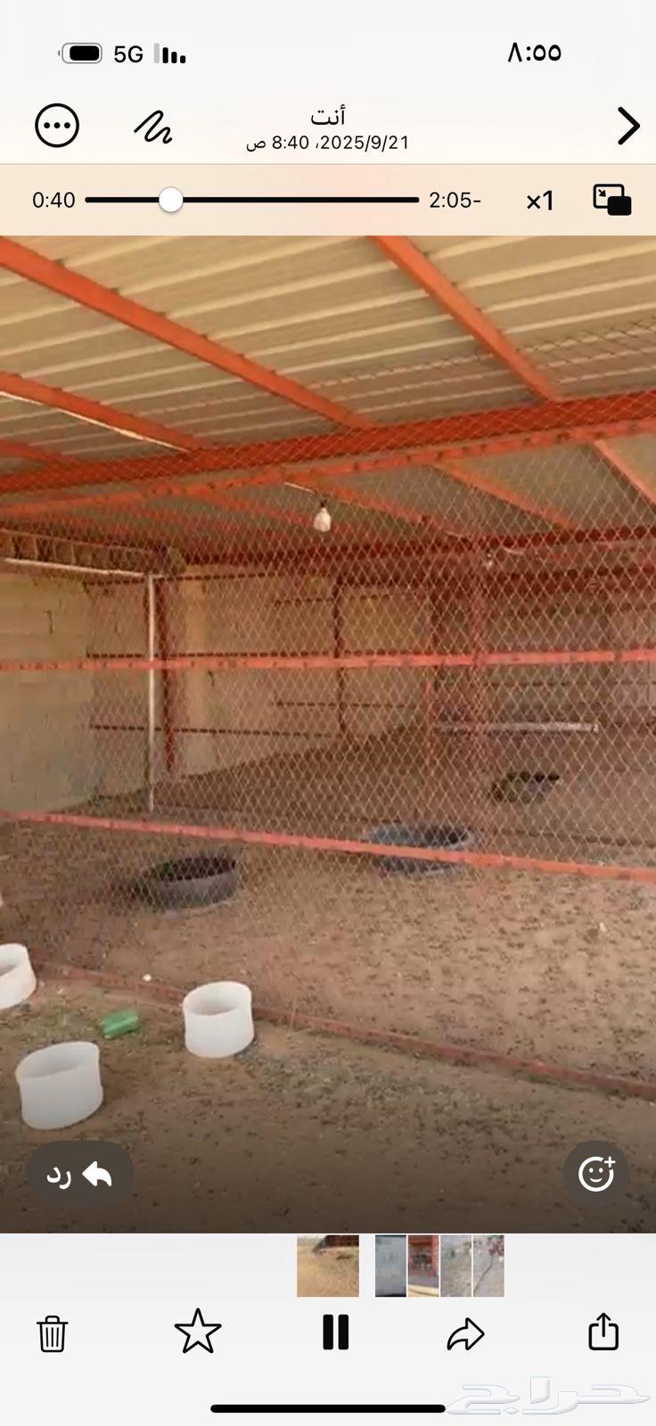 شبك جديد64614967045251112