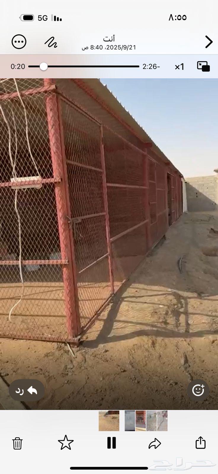 شبك جديد64614967045251110