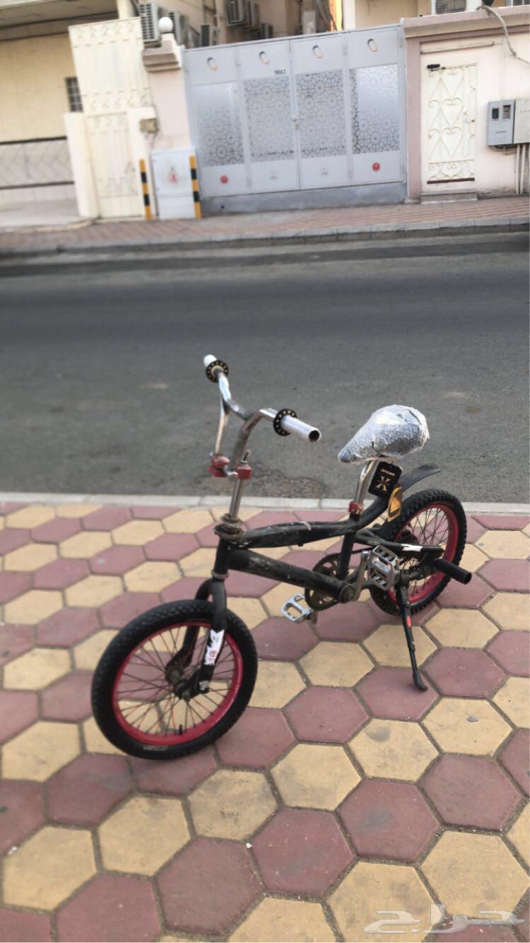 سيكل دارجه كوبرا للبيع مقاس 1664615583817601110