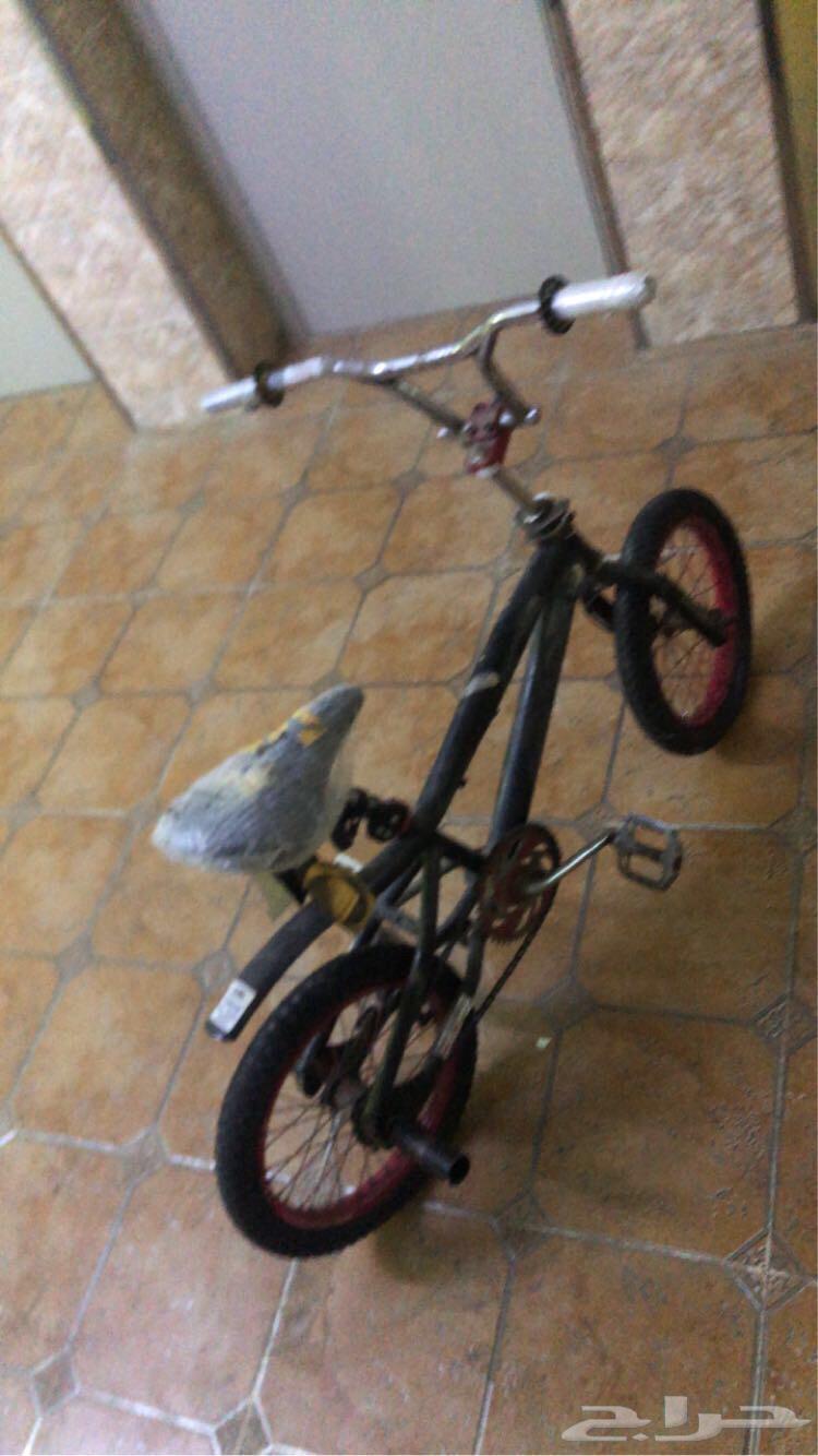 سيكل دارجه كوبرا للبيع مقاس 1664615583817601113