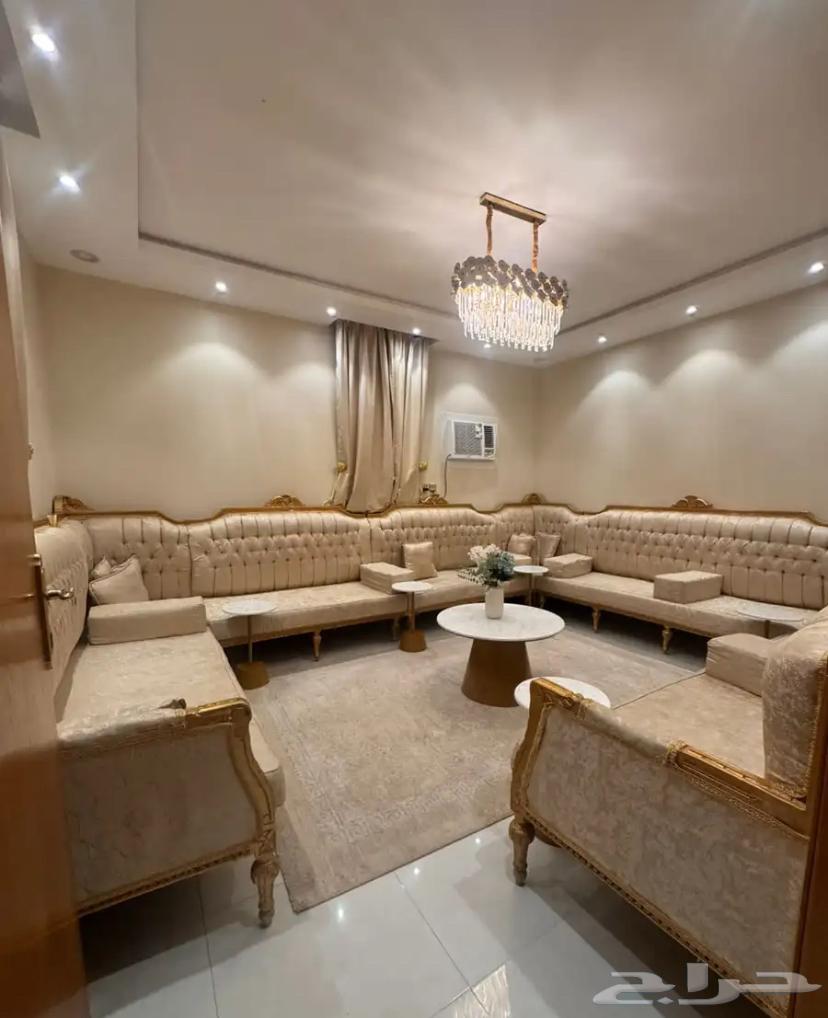 New and Clean Classic Sofa64606111463170111