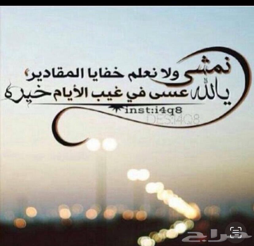 توصيل من جده إلى ينبع املج64159220999554110