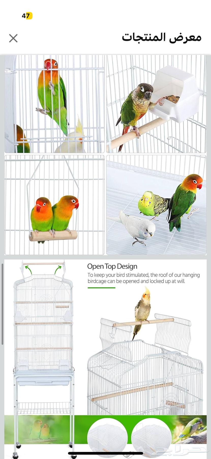 قفص ببغاء او طيور منزلية للبيع نظيف ابيض64613618505217113