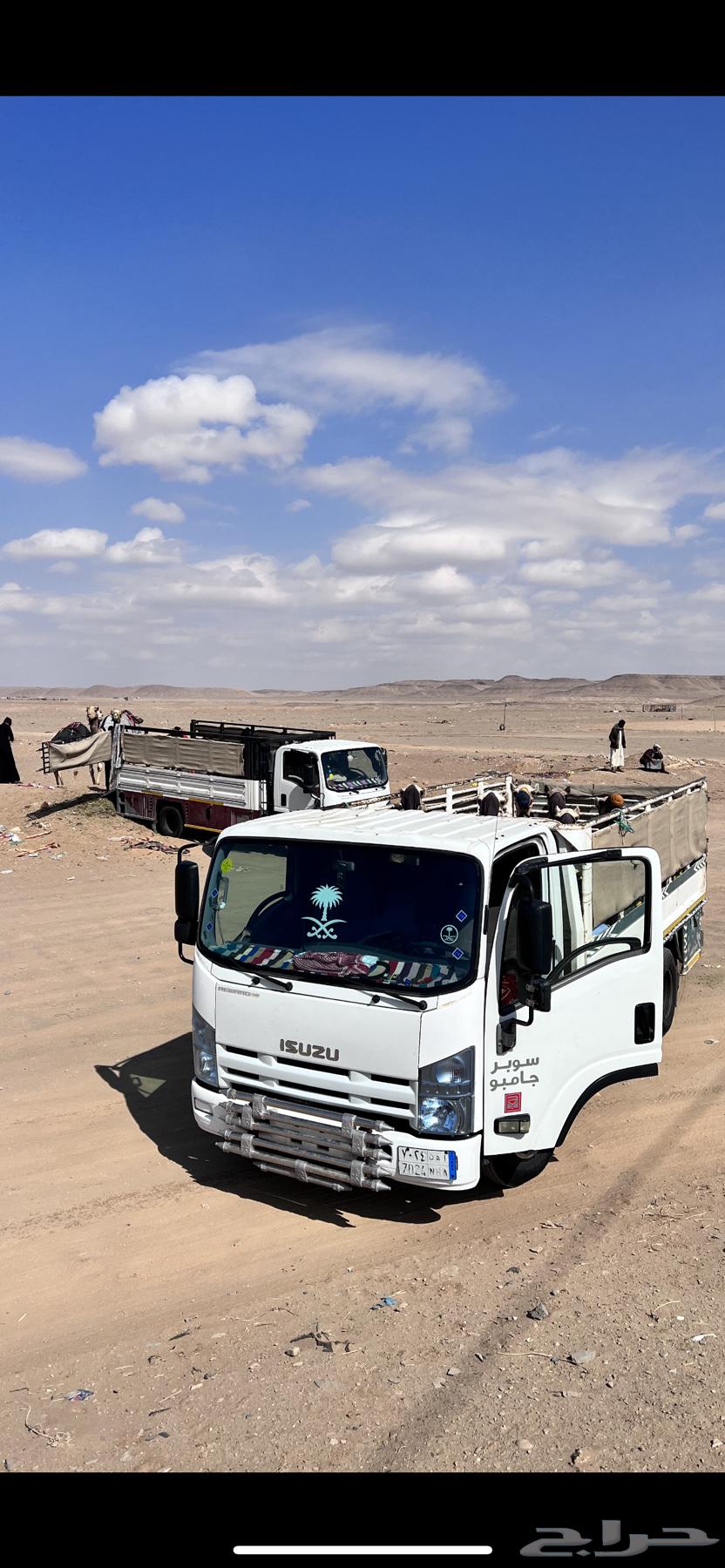 دينا مشاوير64159490240642111