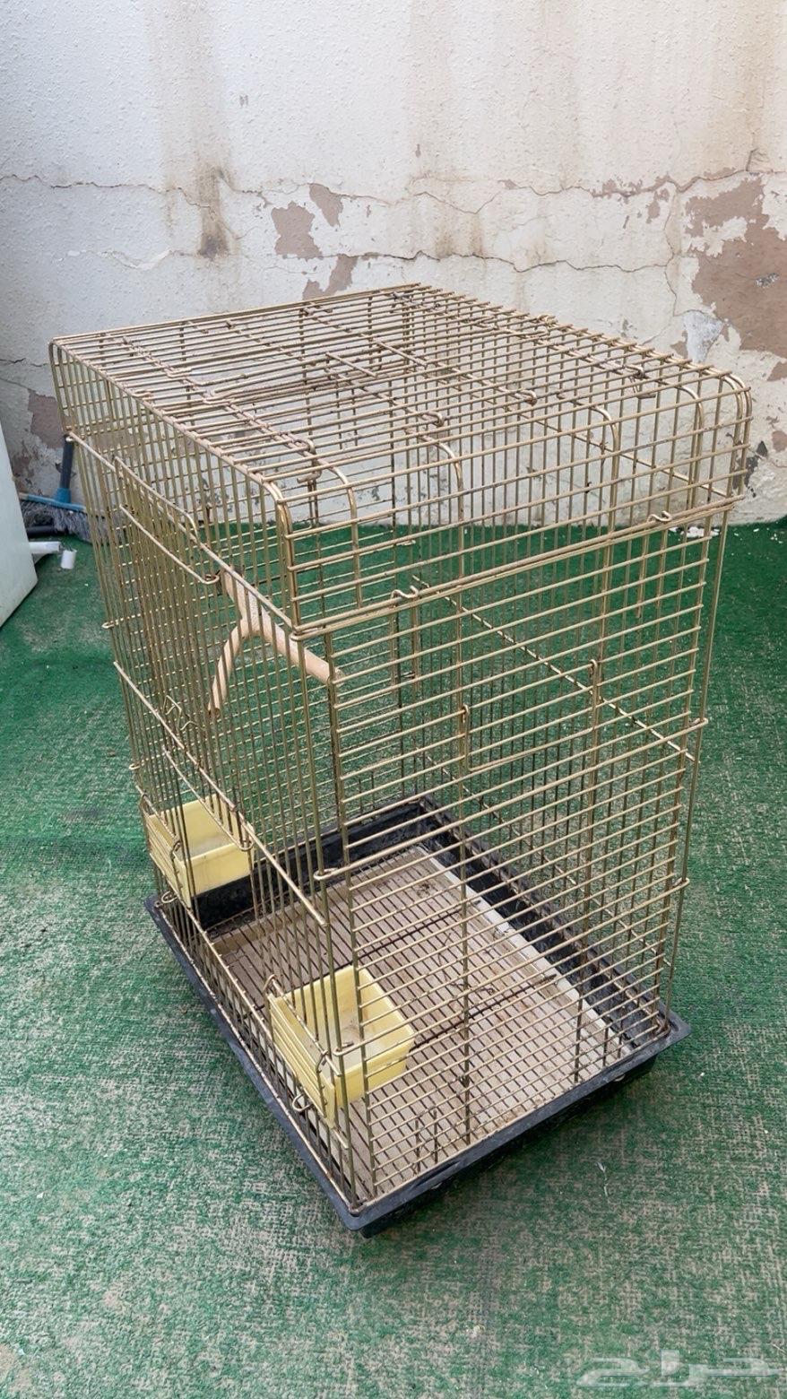 Parrot Bird Cage64610367566851112