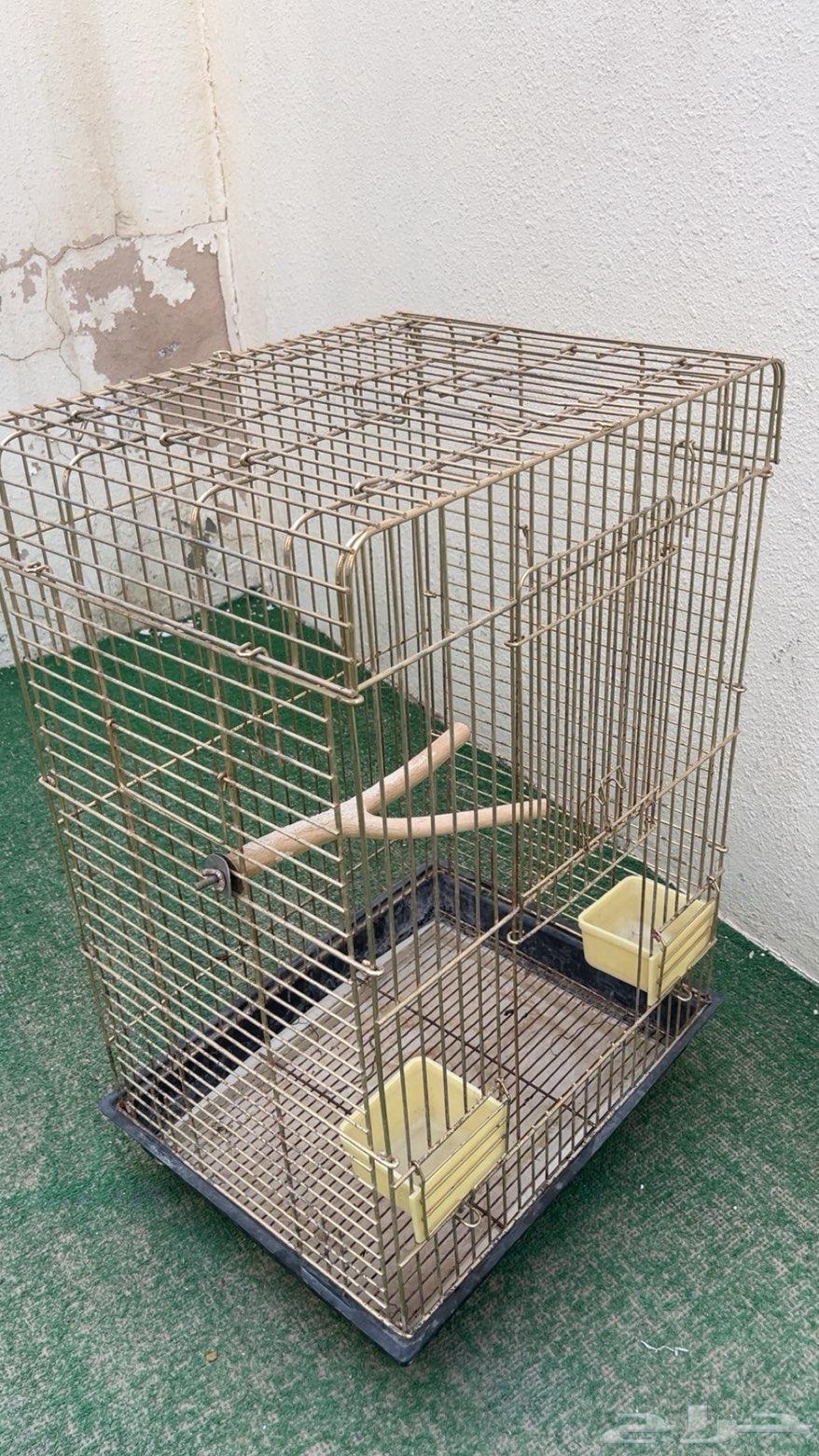 Parrot Bird Cage64610367566851110