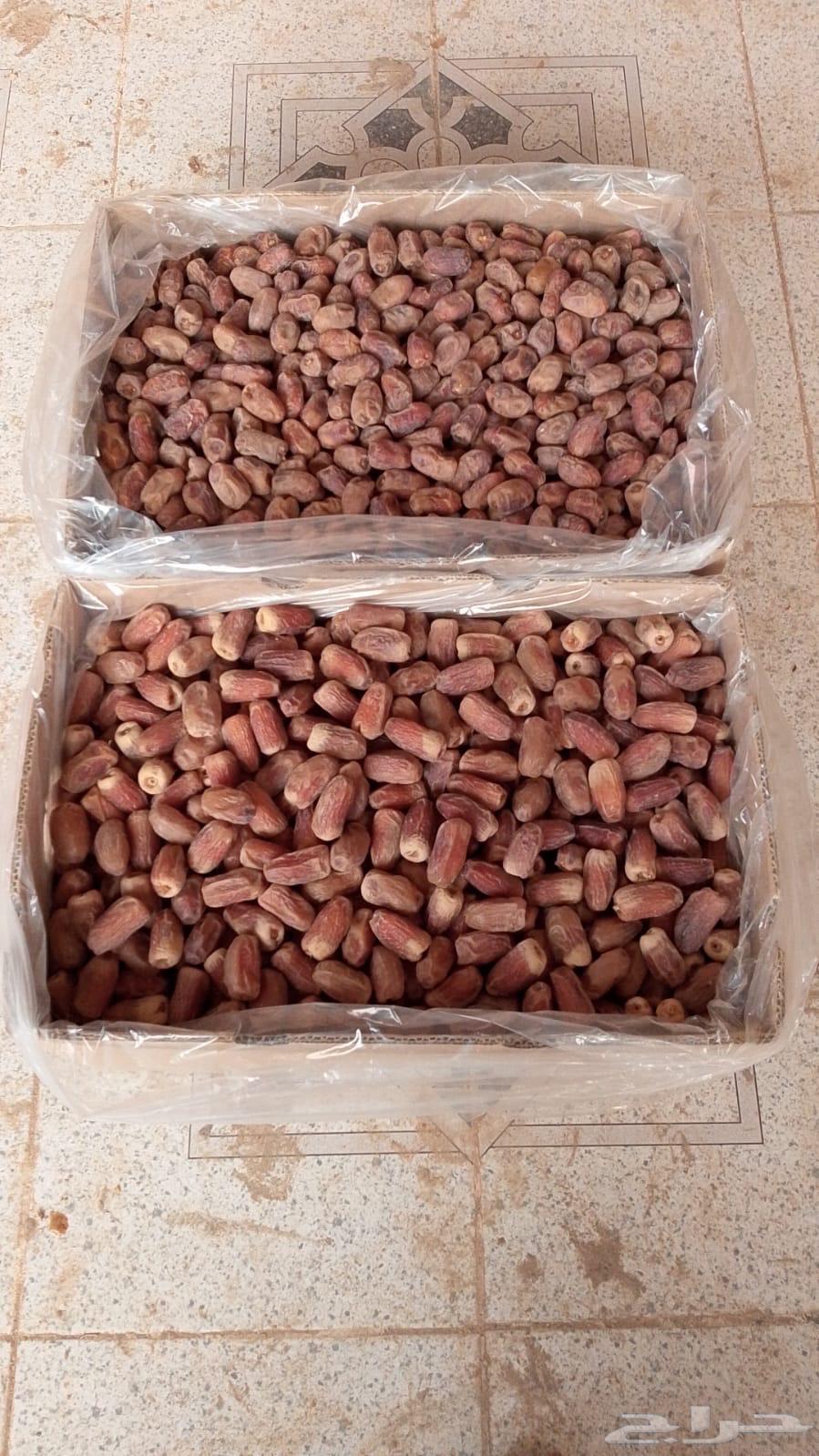 Excellent quality dates, this season's production64609074891010110