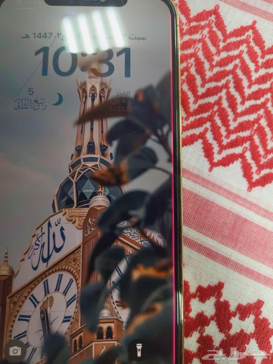 iPhone 12 Pro Max 256 GB – U.S. Version64615608454913114