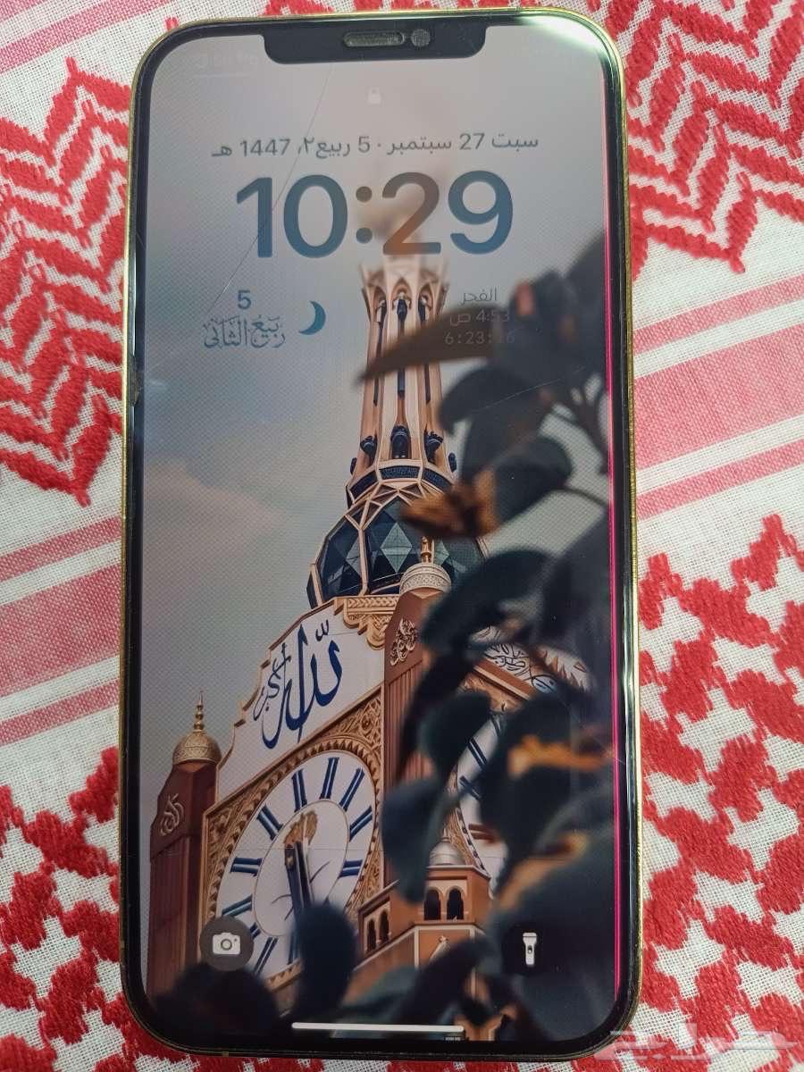 iPhone 12 Pro Max 256 GB – U.S. Version64615608454913110