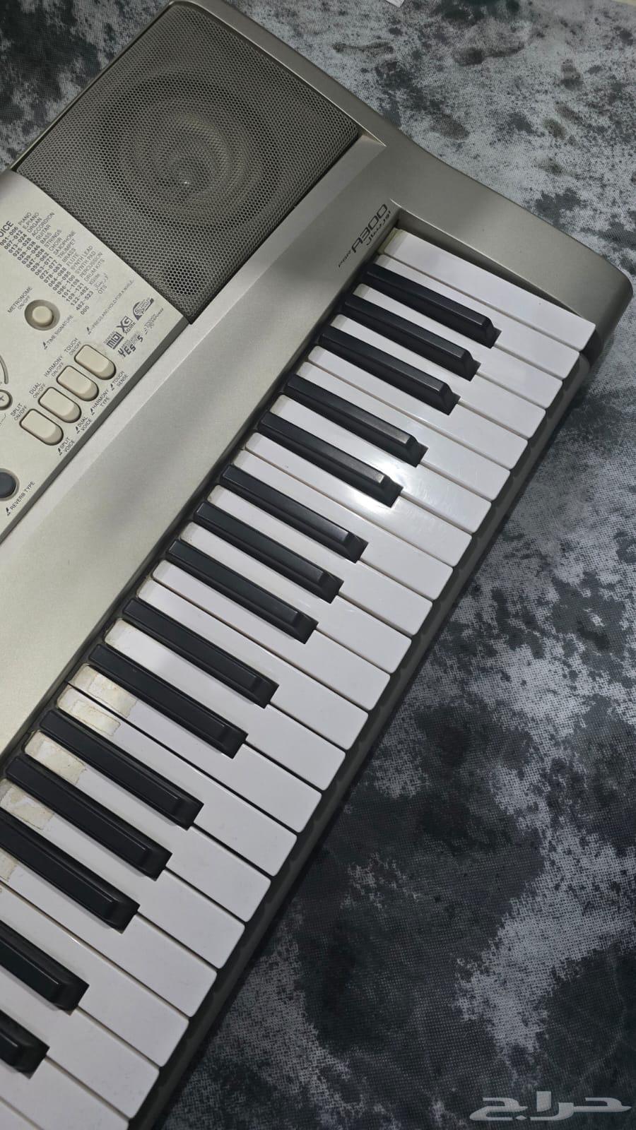 أورغ ياماها a30064615189203587112