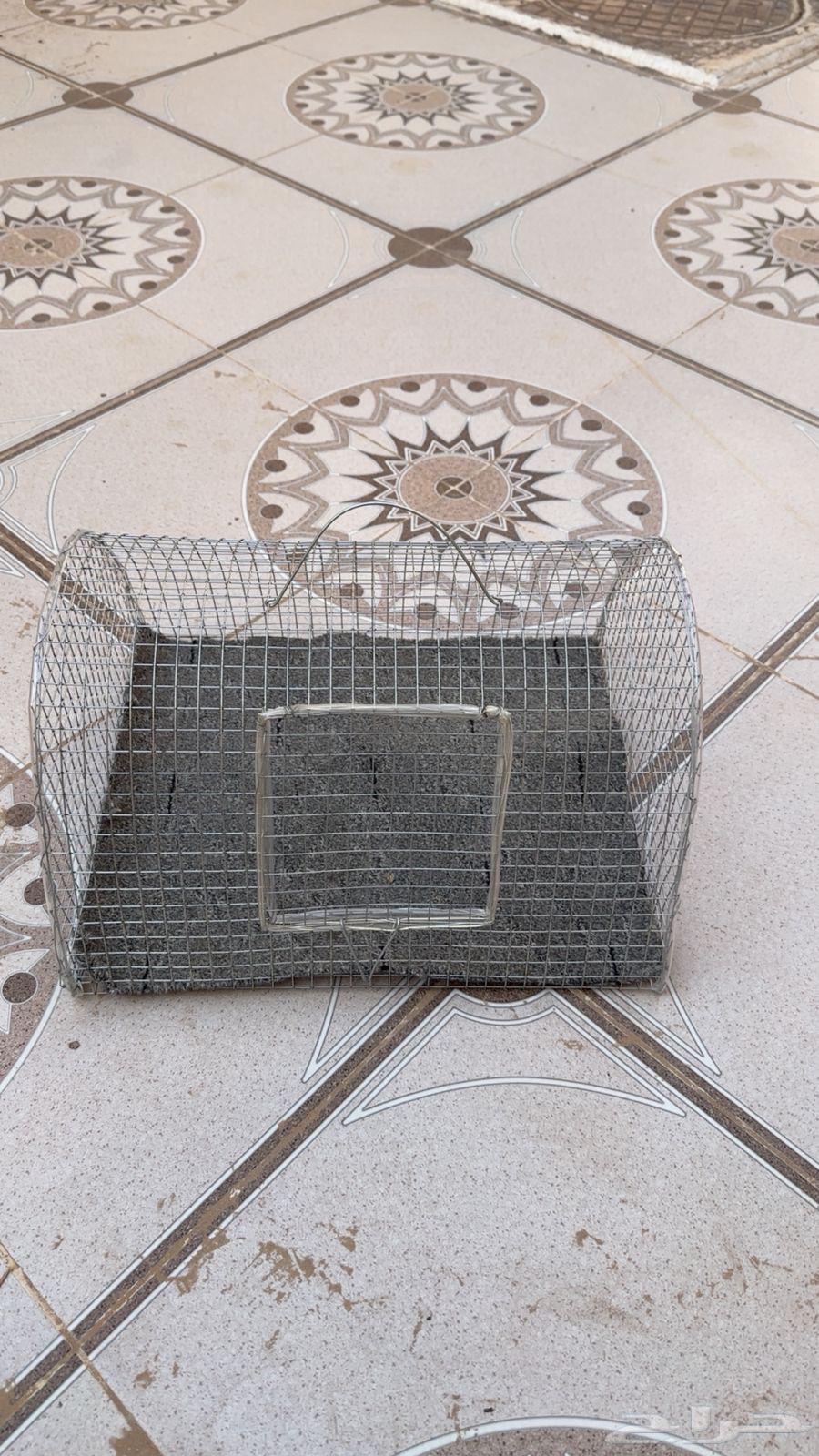 أقفاص طيور64610555208705112