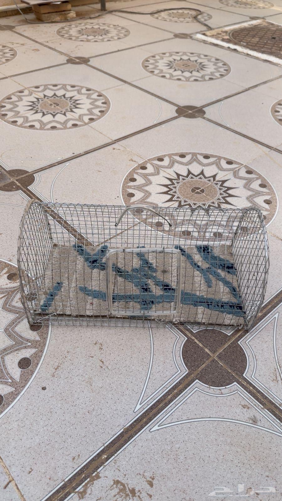 أقفاص طيور64610555208705111