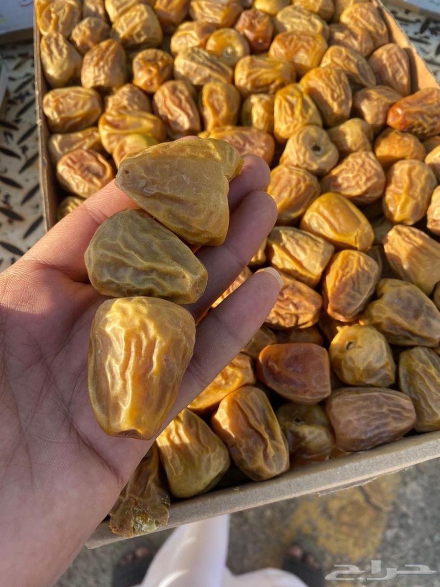 مطلوب مفتل سكري64609772524035110