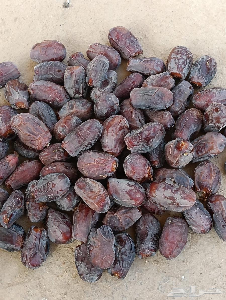 Dates for Sale64612723538307111