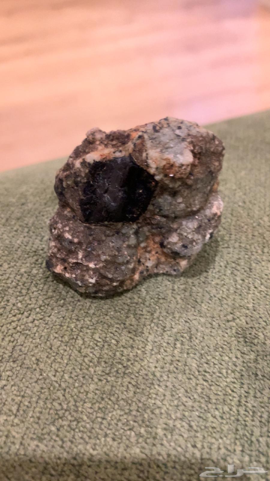 تحف من الطبيعه64621679451267113